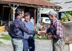 Fondazione Edoardo Garrone e Fondazione Snam ETS, aperti i bandi per il  Progetto Appennino in Abruzzo 2024