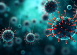 Virus delle scimmie in Cina 2024, sintomi, come si trasmette, cura, è davvero mortale all'80%?