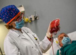Vaccino Covid, "il sangue dei donatori vaccinati è avvelenato, contiene la proteina Spike, che è tossica" - lo STUDIO giapponese
