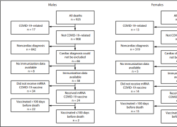 Vaccino Covd a mRNA, lo STUDIO CDC su effetti avversi al cuore in Oregon su 1292 decessi 16–30 anni: "40 correlati per morte cardiaca, 61 forse, 1.161 non sappiamo; 30 legati al Covid-19; correlazione non confermata ma non esclusa"
