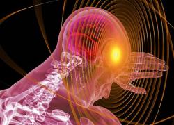 Glioblastoma multiforme cerebrale, sintomi, sopravvivenza e cura della malattia di Sophie Kinsella