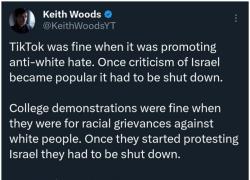 TikTok al bando negli Usa, il web: "Quando promuoveva l'odio contro i bianchi andava bene, se si critica Israele deve essere repressa"