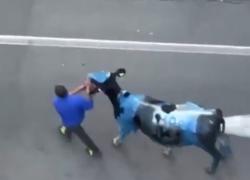 Mucca nerazzurra alla festa scudetto dell'Inter, denuncia per maltrattamenti sugli animali dall'Oipa - VIDEO