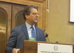 Masaf, Cdp e Intesa Sanpaolo, 20 miliardi di euro per il rilancio dell'agricoltura italiana
