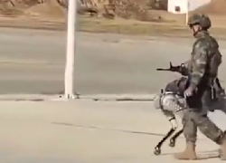 Cina, l'esercito mostra i "robot-cani" da guerra a quattro zampe, telecomandati e con fucili automatici sulla schiena - VIDEO