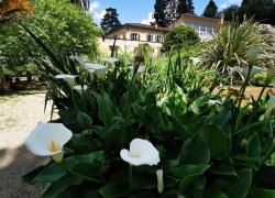 Boboli giardino dei sensi. Alla scoperta tattile dei tesori del parco mediceo 