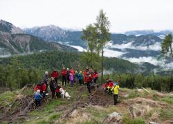 Dolomiti Superski, al via il progetto "Pianta un albero" per riforestazione Plan de Corones, danneggiato dalla tempesta Vaia del 2018