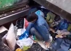 Verona, senzatetto dorme nel cassonetto e finisce nel tritarifiuti, salvato dal netturbino: "Che ca*zo ci fai qui?" - VIDEO