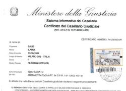 Fedina Penale Ilaria Salis pubblicata da Ministero Interno, 2 condanne per invasione di edifici e resistenza a pubblico ufficiale