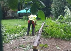 Milano, Comune ordina abbattimento degli alberi del Giardino di via Scaldasole, la piccola oasi verde all'angolo con corso di Porta Ticinese