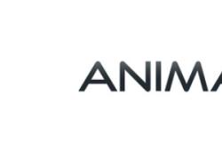 Gruppo ANIMA, al via l'attività della Fondazione per il benessere della comunità; pubblicati 2 bandi e stanziati €75.000