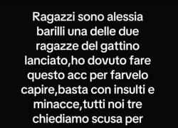 Così si uccide un gattino. E i responsabili attaccano: "Vi quereliamo tutti"