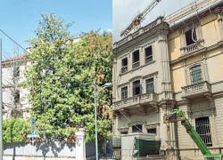 Milano, scempio a Villa Crespi, 11 alberi abbattuti, l'Ufficio bonifiche: "Inquinamento per sversamento" - le immagini del giardino prima e dopo