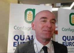 Lanzetta (Enel): "Ragioniamo su tecnologie per gestire costi del mondo agricolo, leader in Europa; agrivoltaico coniuga agricoltura e fonti rinnovabili"