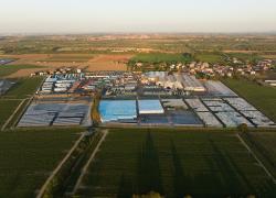 Pomodoro da Industria, Alessandro Squeri (DG Steriltom): “Raccolta in calo causa maltempo, ma crediamo nella capacità dei nostri agricoltori ”