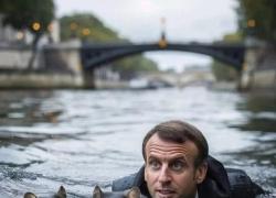 Olimpiadi Parigi 2024 e Senna inquinata, i MEME con Macron fra i topi: "Fino a poco fa ci salutavamo con gomito e mascherina, ora si nuota tra i ratti"