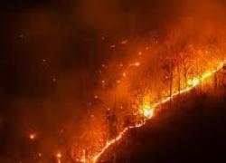 Italtel, realizzata la piattaforma “Fire Monitoring” per Rap Palermo, monitorare gli incendi grazie all'AI