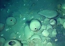 Colombia, galeone San Josè affondato 300 anni fa a 950m di profondità con tesoro da 20 mld$ tra cui monete d'oro e smeraldi, rinvenute bottiglie di vetro, vasi e un'ancora - VIDEO