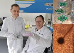 Svizzera, in sviluppo il primo bioprocessore vivente al mondo, la piattaforma della start-up FinalSpark aperta ad università e ricercatori