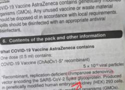 Vaiolo delle scimmie "reazione avversa al vaccino covid (AstraZeneca) a causa dell'adenovirus di scimpanzé nel siero per veicolare proteina Spike"