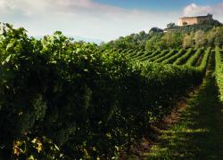 Montelvini debutta alla Mostra del Cinema di Venezia come partner di Casa I Wonder