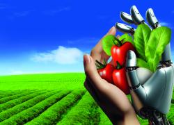 AgriFood Future, al via la seconda edizione a Salerno; innovazione e sostenibilità per il Made in Italy agroalimentare