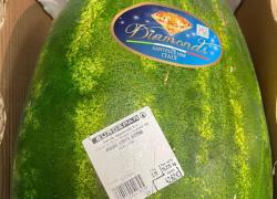 Da Porto Cervo l’anguria Diamonds a 42 euro, (2,79€ al kg) all'Eurospar di Abbiadori, “ci saranno i diamanti dentro”
