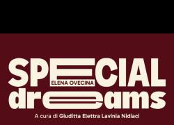 Special Dreams, la mostra personale di Elena Ovecina a cura di “GEL” Nidiaci alla Galleria Giampaolo Abbondio di Milano