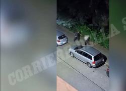 Mestre, la seconda rapina del moldavo che ha ucciso Giacomo Gobbato, prova scippo di una borsa a una donna - VIDEO