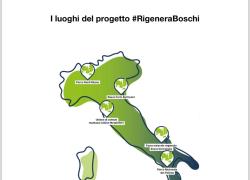 Sorgenia, al via progetto #RigeneraBoschi al Parco Nord Milano; sostenibilità delle foreste per la lotta al cambiamento climatico
