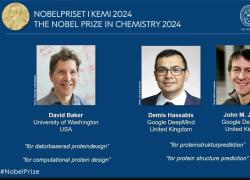 Nobel chimica 2024 a David Baker, Demis Hassabis e John Jumper, usata l’IA per scoprire forme di proteine esistenti e disegnarne di nuove