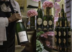 
Addictive champagne, curato con passione da vignaioli artigiani o con spirito d’avanguardia, è il re dell’arte della convivialità e dell’accoglienza
