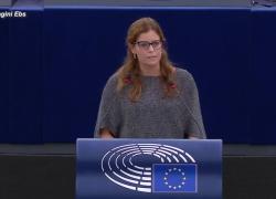 Ilaria Salis, chiesta revoca dell'immunità dall'Ungheria, Kovacs: “Sei una delinquente arrestata per aggressioni non una martire”