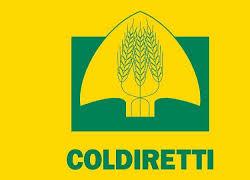 Coldiretti, nei campi italiani mancano 100mila lavoratori; richiesti interventi urgenti anche per l'industria alimentare 