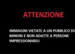 Sesso, piercing e suore lesbiche nude al teatro di Stoccarda nell'opera Holzinger, 18 spettatori con nausea - VIDEO