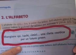 Libri di scuola "green” e “gender fluid”: “Insegnano ad essere sessualmente liquidi e mangiare cimici per salvare il mondo” - VIDEO