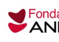 Fondazione Anima, risultati ricerca sull'educazione finanziaria in Italia, analizzate abitudini, esigenze e "influencer" degli italiani 