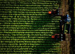 Philip Morris, vinto il premio "Women shape the future" dalle studentesse dell'Università di Bari con il progetto GOCC-I.A