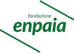 Fondazione Enpaia, Relazione Annuale 2024 conferma gestione finanziaria positiva con un utile di €16,2 mln