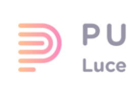 Pulsee Luce e Gas, obiettivo di crescita clienti del 65% entro il 2027, nel 2024 crescita del 100% dei clienti digital
