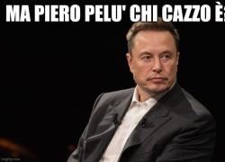 Musk, i meme più divertenti sulla chiusura dei profili X da parte di alcuni Vip dopo l'elezione di Trump: "Piero Pelù chi cazzo è?" - GALLERY