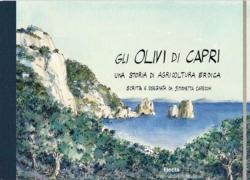 Capri-Miami, Capri-Hollywood, dalla Capri degli Olivi alla Capri filosofica, passando per l’Olive Therapy