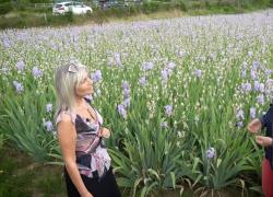 Il video di intoscana.it porta “Iris profumo di Toscana” a vincere l'Agricultural and Rural Inspiration Awards