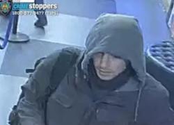 Omicidio Brian Thompson, il killer "eroe" indotto alla follia da un sistema che promette protezione, ma che divora i più deboli