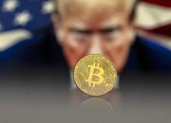 Bitcoin record storico a 100mila dollari, l'elezione di Trump e le promesse cripto-friendly alimentano la corsa della criptovaluta