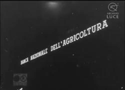 55° anniversario strage di piazza Fontana, la bomba piazzata nella sede della BNA a Milano dai neofascisti che causò 17 morti e 88 feriti - VIDEO