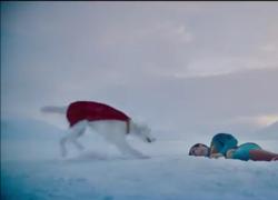 Superman, il teaser trailer del film di James Gunn con David Corenswet: ferito e sanguinante, salvato dal cane Krypto - VIDEO