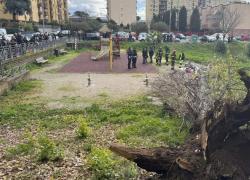 Albero caduto a Roma, donna morta mentre era coi figli al parco, un'altra rimasta ferita, illesi i bambini, la causa il forte vento