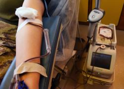 Trasfusione di sangue tra non vaccinati per Covid, l'iniziativa del comitato Di Sana e Robusta Costituzione e i moduli necessari