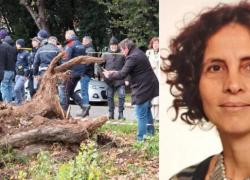 Francesca Ianni, morta schiacciata da un albero davanti ai figli, i vicini: "Nessuna manutenzione, il parco è abbandonato, vergogna"